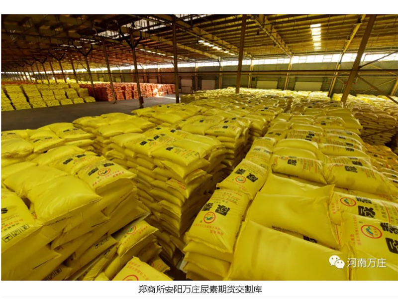 安陽久久99九九精品久久久久蜜桃助力商品國內大循環